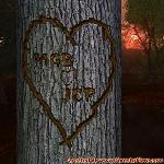 Proof of Love!