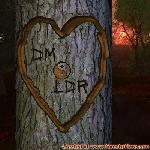 Proof of Love!