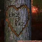 Proof of Love!
