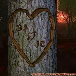 Proof of Love!