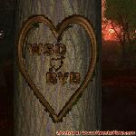 Proof of Love!