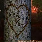 Proof of Love!