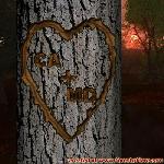Proof of Love!