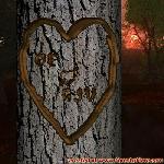 Proof of Love!