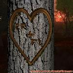 Proof of Love!