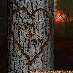 Proof of Love!