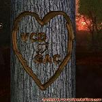 Proof of Love!