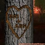 Proof of Love!