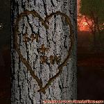 Proof of Love!