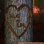 Proof of Love!