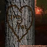Proof of Love!
