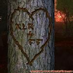 Proof of Love!