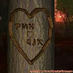 Proof of Love!