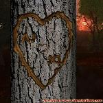 Proof of Love!