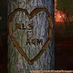 Proof of Love!