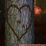 Proof of Love!
