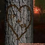 Proof of Love!