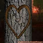 Proof of Love!
