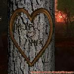 Proof of Love!
