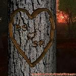Proof of Love!