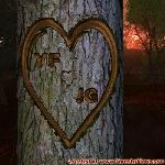 Proof of Love!