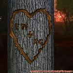 Proof of Love!