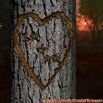 Proof of Love!