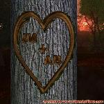 Proof of Love!