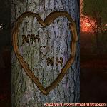 Proof of Love!