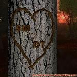 Proof of Love!