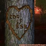 Proof of Love!