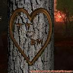 Proof of Love!