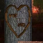 Proof of Love!
