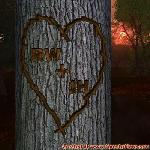Proof of Love!