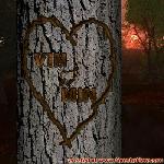 Proof of Love!
