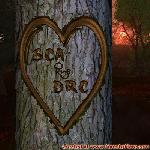 Proof of Love!
