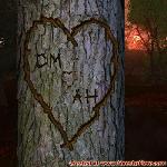 Proof of Love!
