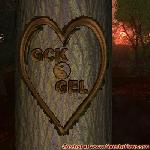 Proof of Love!