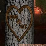Proof of Love!