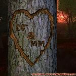 Proof of Love!
