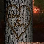 Proof of Love!