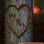 Proof of Love!