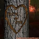 Proof of Love!
