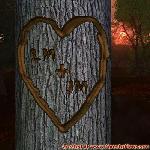 Proof of Love!
