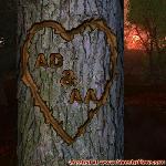 Proof of Love!