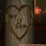 Proof of Love!