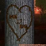 Proof of Love!