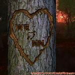Proof of Love!