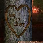 Proof of Love!