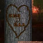 Proof of Love!